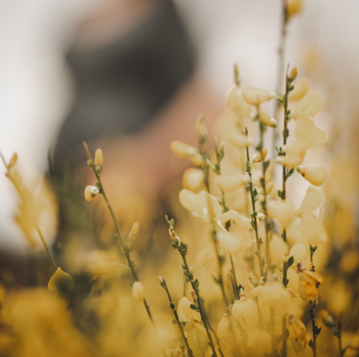 gele bloemen zwangerschap